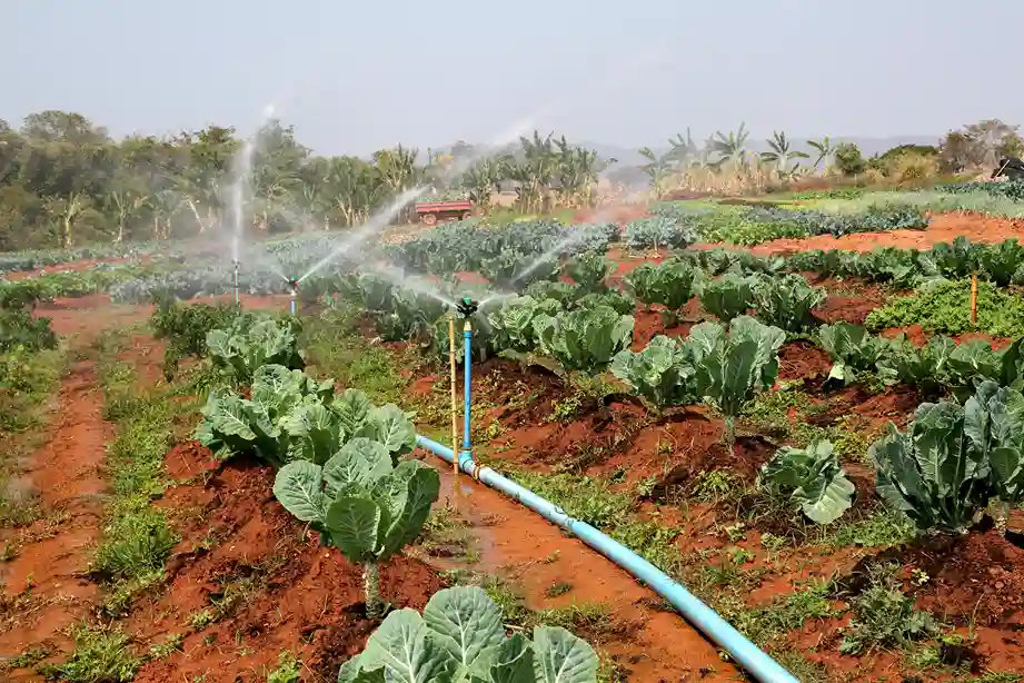 Irrigation Systems Installation